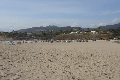 DSC_2291 (Large).JPG